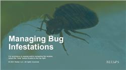 Managing Bug Infestations